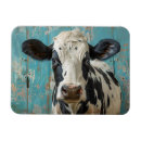 Search for cow magnets Cattle