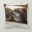 Search for scottish cushions Brown