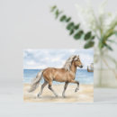 Search for viking postcards Beach