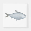 Search for bony Fish