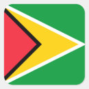 Search for flag of guyana stickers South america