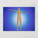 Search for conceptus postcards Blue