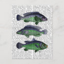 Search for vintage fish postcards Contemporary