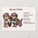 Search for yorkies invitations Dogs
