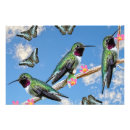 Search for blue hummingbird art Animals