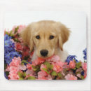 Search for golden retriever puppy mouse mats Flowers