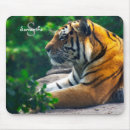 Search for amur mouse mats Siberian tiger