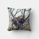 Search for bird nest cushions Nature