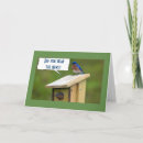 Search for singe photography Bird