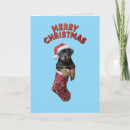 Search for rottweiler christmas cards Santa