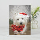 Search for cartoon dog christmas cards Happy