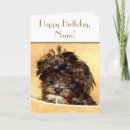 Search for poodle cards Schnoodle