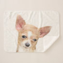 Search for chihuahua blankets Cute
