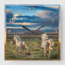 Search for running clocks Wild horse