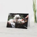 Search for eagle owl cards Wildlife