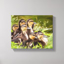Search for ducklings nursery art Cute