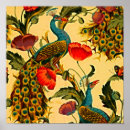 Search for art nouveau peacock posters Antique