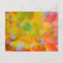 Search for begonia postcards Blossom