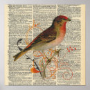 Search for bird cage art Illustration