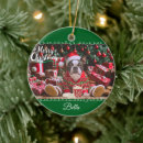 Search for boston terrier christmas tree decorations Cute dog