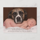 Search for pet birth announcement cards Funny