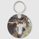 Search for donkies Horses