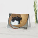 Search for cats meow birthday cards Kitty
