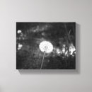 Search for black dandelion canvas prints Wild flowers