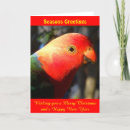 Search for parrot christmas cards Xmas