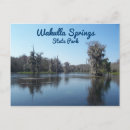 Search for state tree postcards Florida