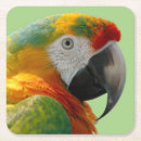 Search for macaw coasters Colorful