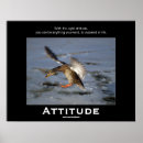 Search for mallard duck painting posters Birds