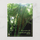 Search for sunbeam postcards Photography