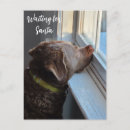 Search for dog waiting postcards Window