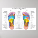 Search for meridian chart posters Reflexology