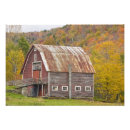Search for green foliage posters Forest