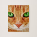 Search for orange cat puzzles Ginger