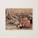 Search for hamster puzzles Rodents