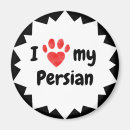 Search for cat breed magnets Kitty