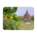 Search for myanmar magnets Temple