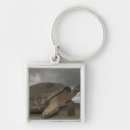 Search for galapagos key rings Reptile