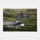 Search for common loon home living Great northern diver