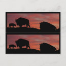 Search for bookmarker postcards Sunrise