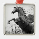 Search for statue christmas tree decorations Horse