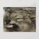 Search for wolf eyes postcards Grey
