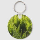 Search for curling key rings Nature