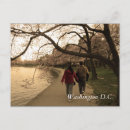 Search for blossoms postcards District of columbia