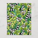 Search for cartoon jungle postcards Wildlife