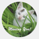 Search for miss you stickers Cute