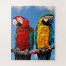 Search for wild bird puzzles Animals